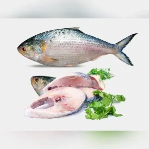 hilsha (400 500 gm) /pc