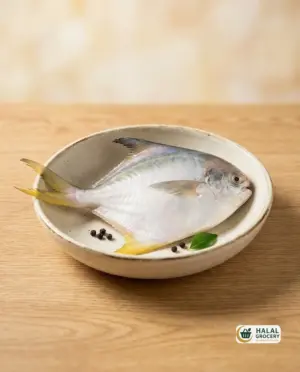 Rupchanda Fish