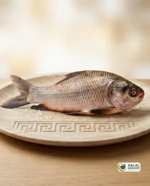 Katla Fish  (3kg+ $4.99/lb)
