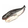 rohu fish (3kg size) (copy)
