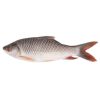 boal fish (copy)