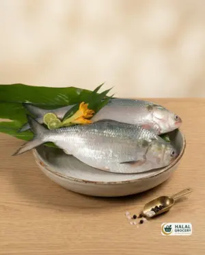 Hilsha (3pc=1200gm)(300-500gm Each)