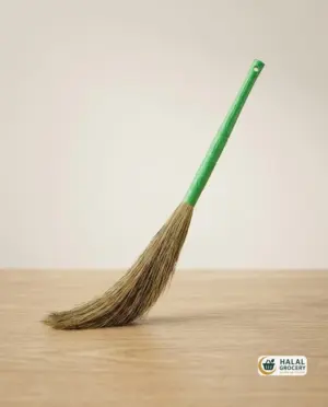 Plant Flower Broom
