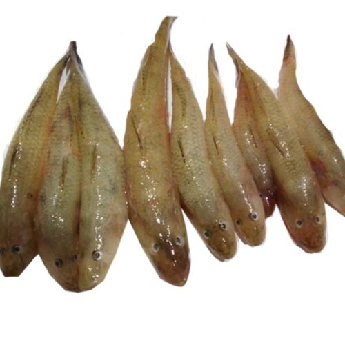 baila fish (500g)