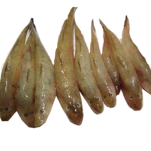 baila fish (500g)