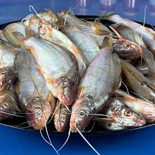 gulsha tengra(500g)