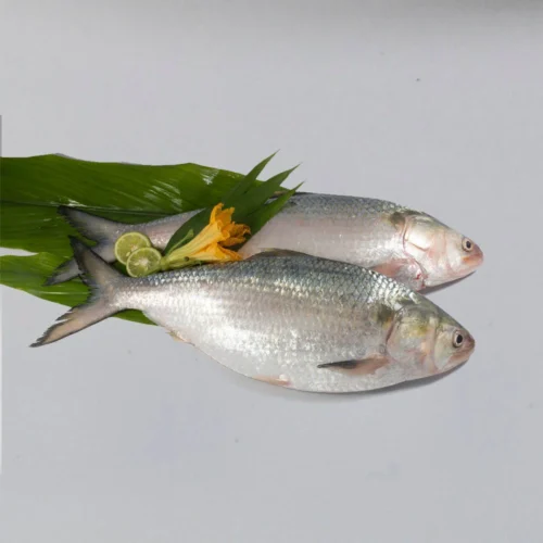 hilsha 1kg (2pc )