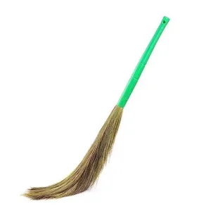 plant broom (copy)