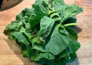 garder fresh lalsak (copy)