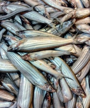 kajuli fish (250g)