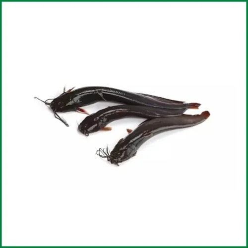 shing fish (500g)
