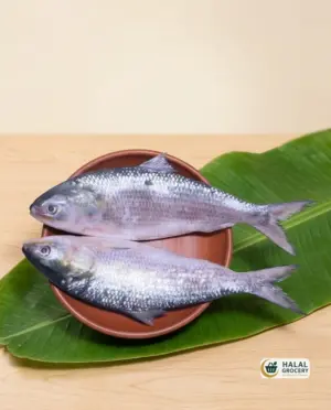 Hilsha (1.5-2 Kg  $19.99/LB)