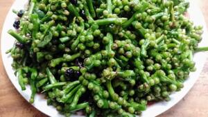 Malabar Spinach Seed ($7.99/lb)