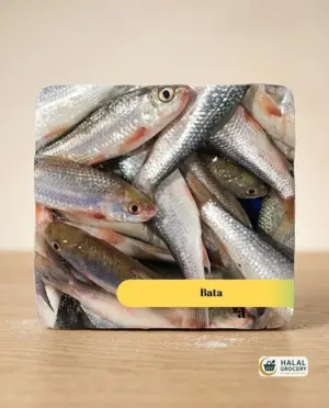 Bata Fish Block (500GM)