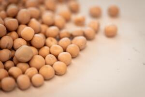 Whole Yellow Peas (Dabli/Chotpoti/Dal-2Lb)