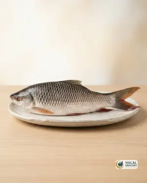 Rohu Fish (4Kg+ Size $4.50/lb)(আঁশ-সহ)