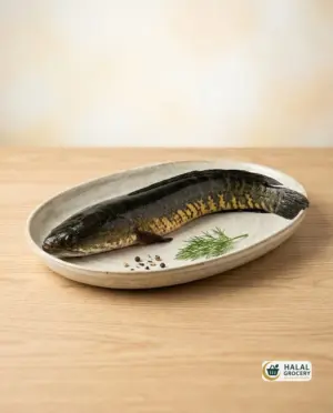 Shol Fish (Size1-2Kg) (6.99/LB)