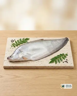 Chitol Fish (4-5Kg Size) ($8.25/LB)